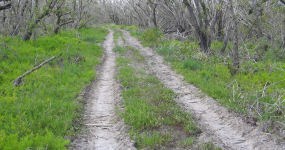 Rowdy Bend Trail