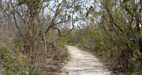 Rowdy Bend Trail