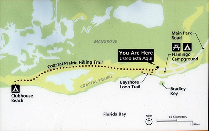Everglades Hiking Trails Map Coastal Prairie Trail - Everglades National Park (U.s. National Park  Service)
