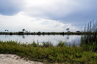 Sisal Pond