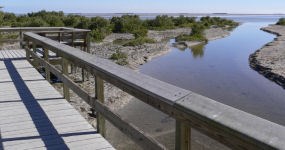 Snake Bight Trail