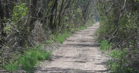 Snake Bight Trail