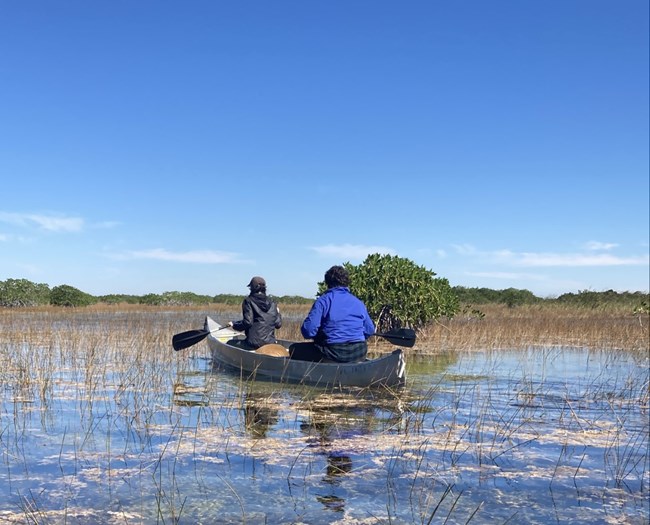 Visitors canoeing Nine Mile Pond as a part of the Everglades National Park Institute’s Paddling in the Park program.