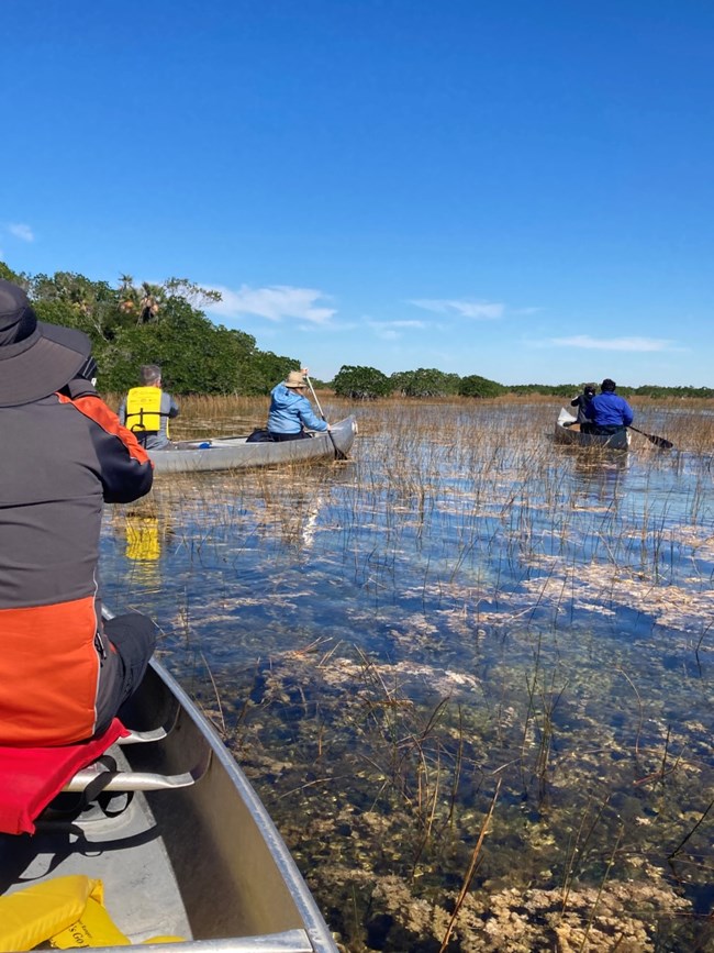 Visitors canoeing Nine Mile Pond as a part of the Everglades National Park Institute’s Paddling in the Park program.