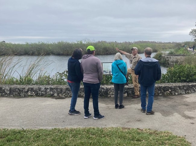 Visitors listening to an Everglades National Park Institute Naturalist while participating in an Everglades Experience program.