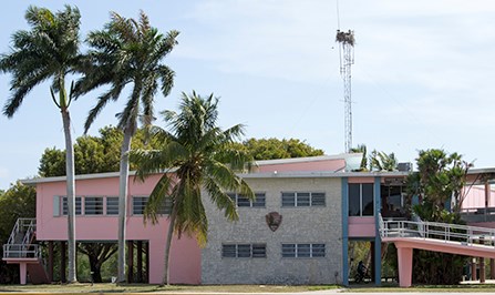 web-flamingo-visitor-center_2.jpg flamingo visitor center