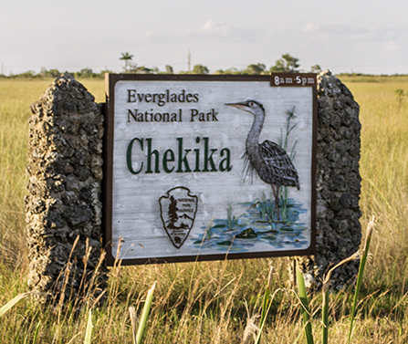 Escape To The Wild: Your Guide To Chekika Campground In The Everglades