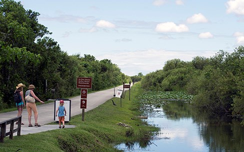 Shark Valley Bike Trail Start Shark Valley Bike Trail Start