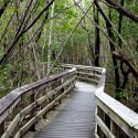 West Lake Trail