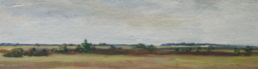 Everglades Landscape Painting