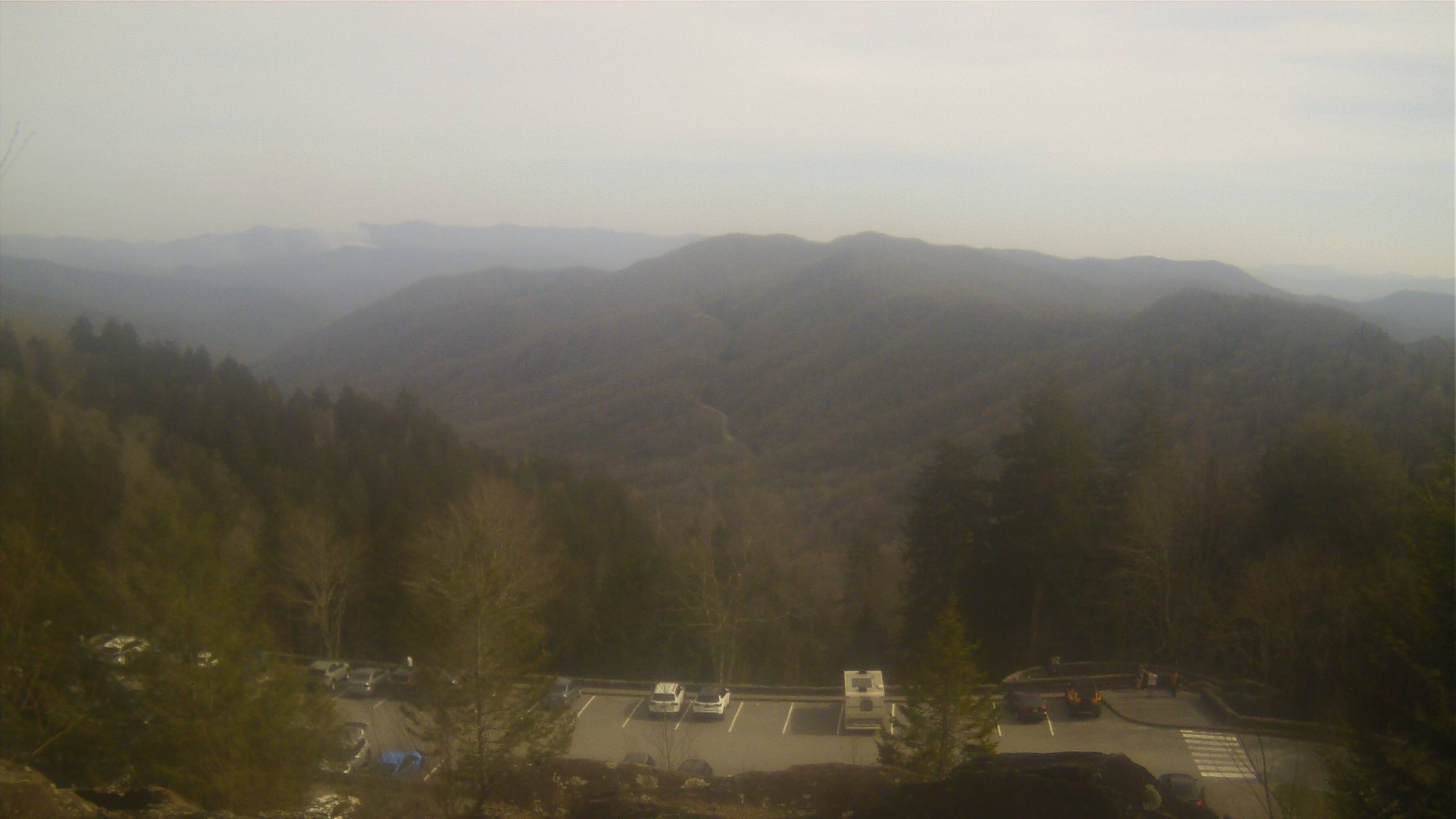 Newfound Gap Webcam