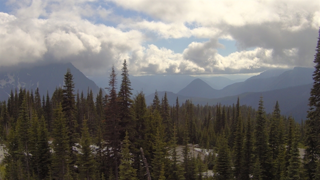 National Park Service Webcam Image