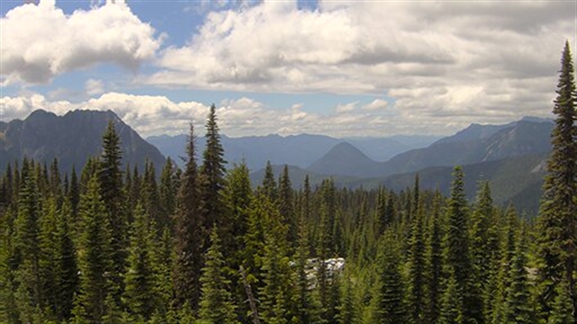Mount Rainier National Park: Current image from the NPS Air Quality Web Camera Network.