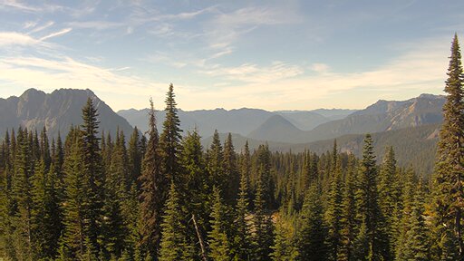 Nisqually Valley air-quality view