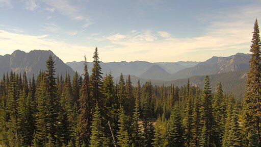 Nisqually Valley air-quality view