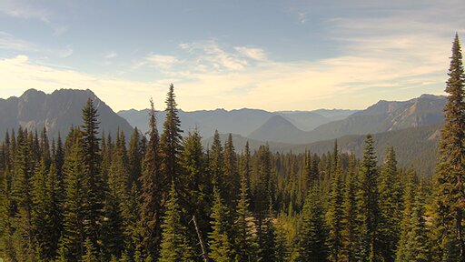 Nisqually Valley air-quality view