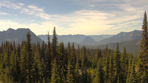 Nisqually Valley air-quality view
