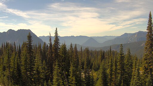 Nisqually Valley air-quality view