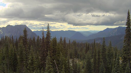 Nisqually Valley air-quality view