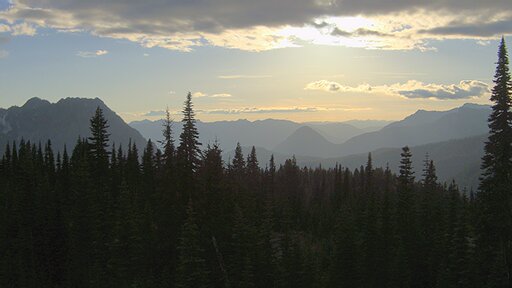 Nisqually Valley air-quality view