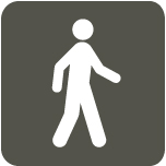 Walking Icon