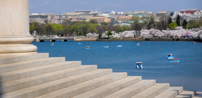 Spring on the tidal basin