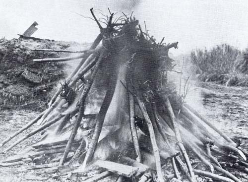 Burning of diseased cherry trees Burning of diseased cherry trees