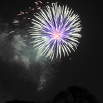 Cherry Blossom Fireworks Cherry Blossom Fireworks