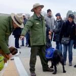Ranger dog tour Ranger dog tour