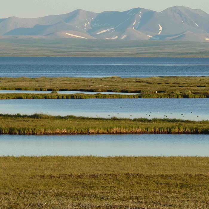 Coastal wetlands against a mountainous backdrop.