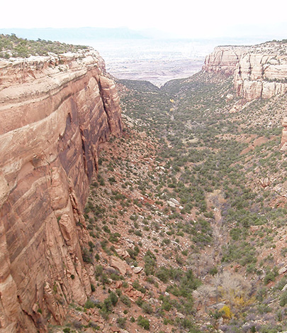 Image of Red Canyon