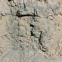 Burro Canyon Rock Formation