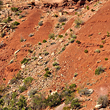 Chinle Formation