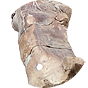 Digging into Fossils Activity Icon