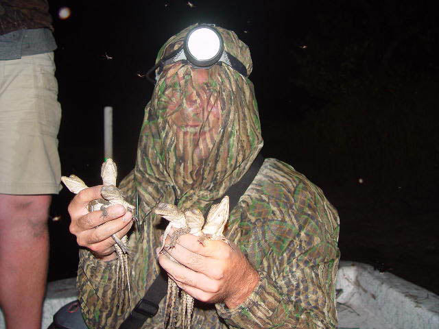 At night, a man covered in camouflage mesh and a headlamp holds three baby crocodiles in each hand.