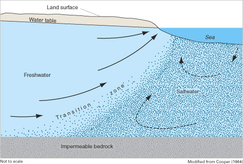 A cross-section of the beach shows how saltwater pushes inland underground while freshwater pushed seaward.