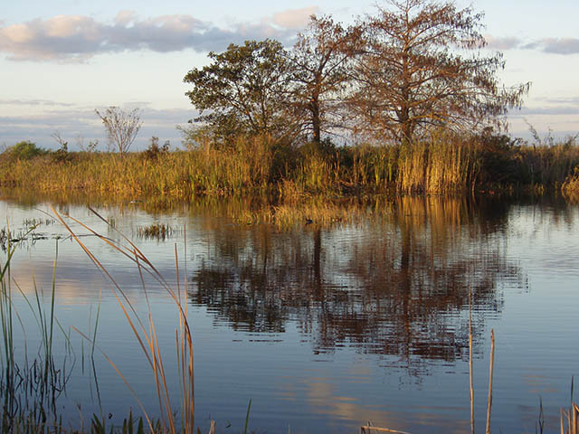 Golden grasses and orange trees reflect in rippled water.