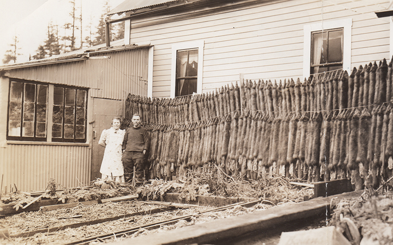 Josephine and Pete Sather stand next to their house and rows of hanging fox pelts on Nuka Island.