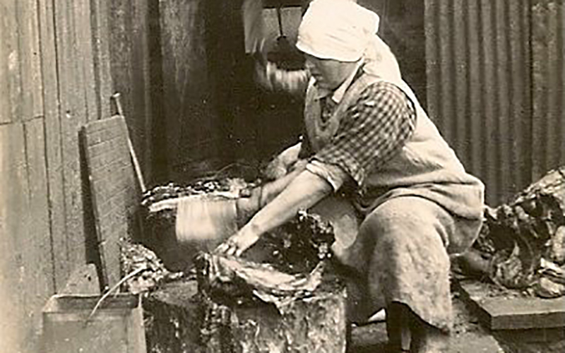 Josephine Sather chopping up food for her foxes.