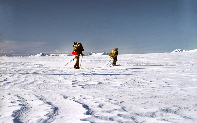 Two distant skiers carrying large backpacks traverse the Harding Icefield in 1968.