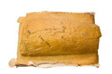 Mammoth tusk fossil encompassed in a burnt yellow plaster jacket. 