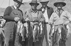 Four men standing next to each other holding strings of large fish.