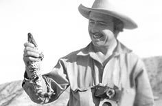 Man with camera around his neck holds up a large lizard.