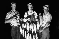 Three men stand holding a string of dozens of fish.