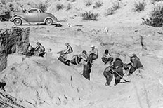 Group of boys digging for artifacts with shovels.