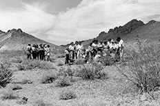 Group of girls standing together observing wildlife flowers.