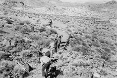Group of 7 boy scouts in a line as they use tools to repair a nature trail in surrounding desert.