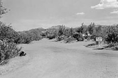 Dirt road in center divides bushes and trees,  a campground sign to the right and a campsite in the distance.