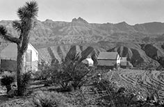 Small cabins with tent roofs with desert plant in foreground and mountains in background.
