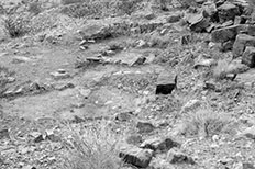 Ruins consisting of different sized rocks scattered across desert landscape.